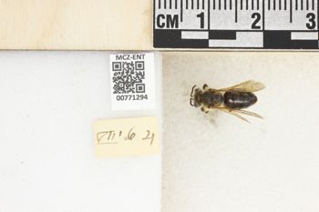 Media type: image;   Entomology 771294 Aspect: Labels